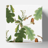 オークエレガントの葉とアコーン フェイバーボックス (上部)