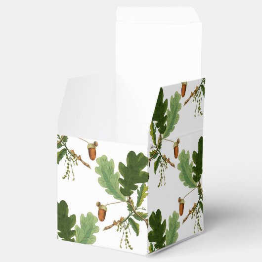 オークエレガントの葉とアコーン フェイバーボックス (オープン)