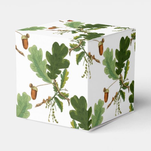 オークエレガントの葉とアコーン フェイバーボックス (裏面サイド)