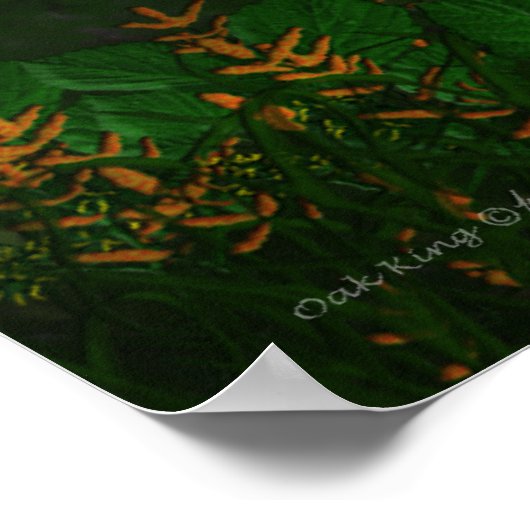 オークキング ポスター (角)