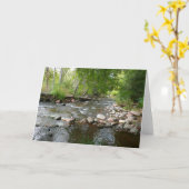 オーククリーク&マラードダックス自然写真 カード (黄色い花)