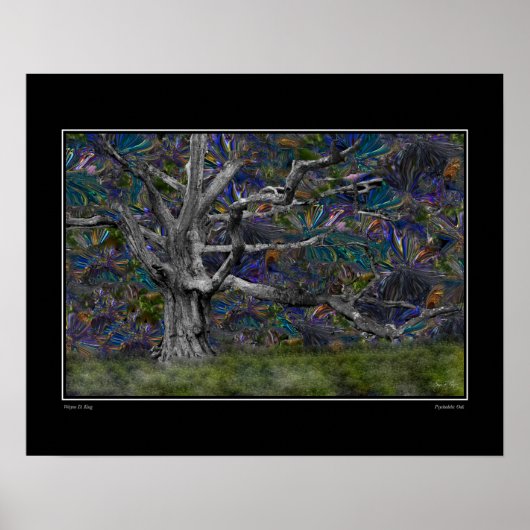 オークサイケデリック材 ポスター (正面)