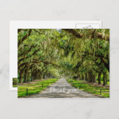 オークスの美しい通り感謝はがき ポストカード (正面/裏面)