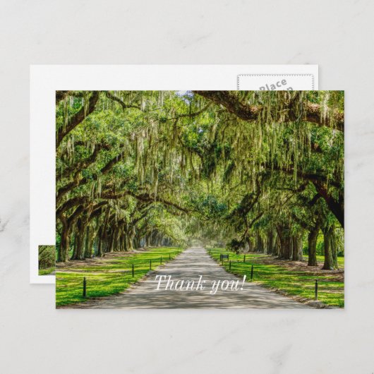 オークスの美しい通り感謝はがき ポストカード (正面/裏面)