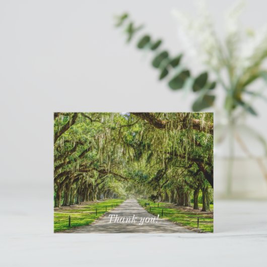 オークスの美しい通り感謝はがき ポストカード (スタンド正面)