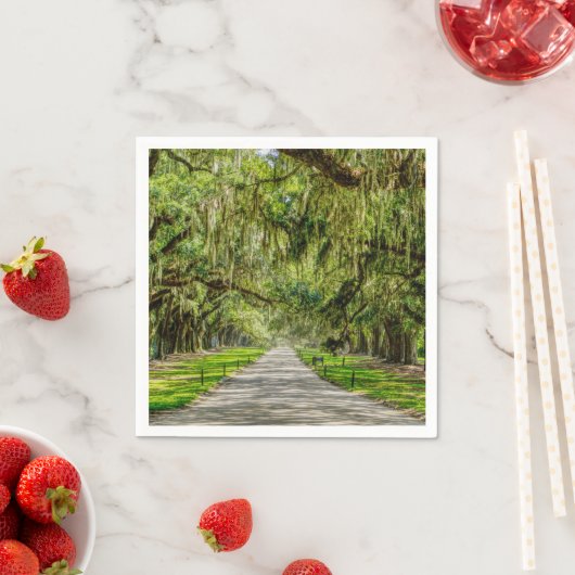 オークスの美しい通り スタンダードカクテルナプキン (インサイチュ)