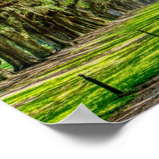 オークスの美しい通り ポスター (角)