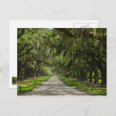 オークスの美しい通り ポストカード (正面/裏面)