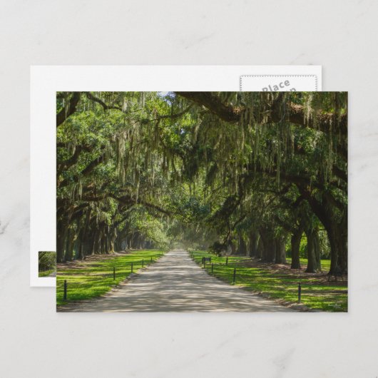 オークスの美しい通り ポストカード (正面/裏面)