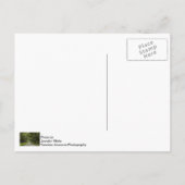 オークスの美しい通り ポストカード (裏面)