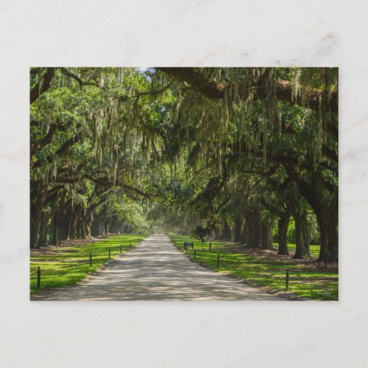 オークスの美しい通り ポストカード (正面)