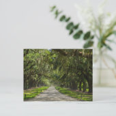 オークスの美しい通り ポストカード (スタンド正面)