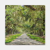 オークスの美しい通り マグネット (正面)