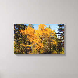 オークスイン秋 キャンバスプリント