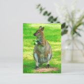 オークス付きカンガルー葉ロハガキ ポストカード (スタンド正面)