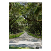 オークス考えズ・オブ・ユー (正面)