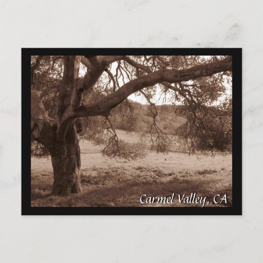 オークス葉書の下 ポストカード (正面)