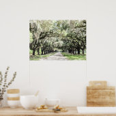 オークス通りブーンホールプランテーションウォーターカラー ポスター (キッチン)