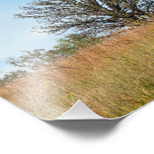 オークツリーと背の高い草草原 フォトプリント            (角)