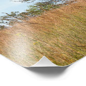 オークツリーと背の高い草草原 フォトプリント            (角)