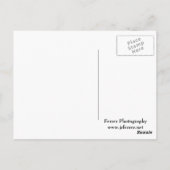 オークツリーと背の高い草草原 ポストカード (裏面)