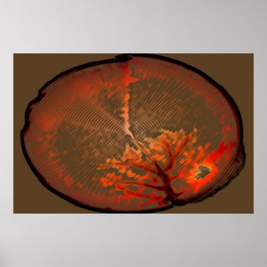 オークツリーアットサンライズ ポスター (正面)