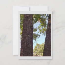 オークツリーノートカード サンキューカード