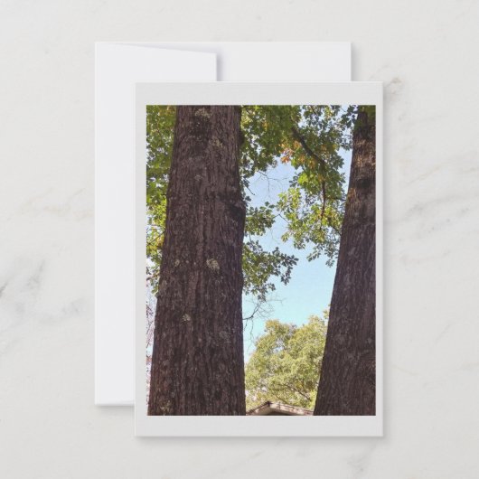 オークツリーノートカード サンキューカード (正面)