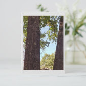 オークツリーノートカード サンキューカード (スタンド正面)