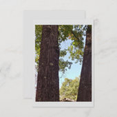 オークツリーノートカード サンキューカード (正面/裏面)