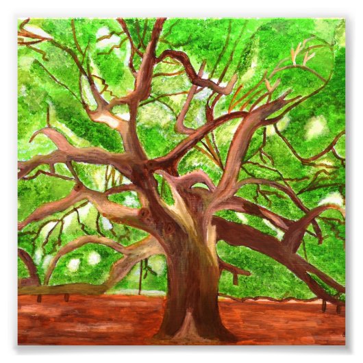 オークツリー写真 フォトプリント            (正面)