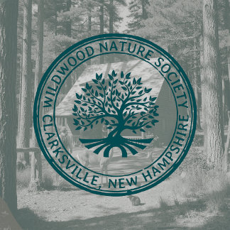 オークツリー素朴ア縁どアドレスの自然とビジネス ラバースタンプ