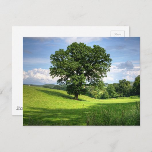 オークツリー緑の夏の美しい景色 ポストカード (正面/裏面)