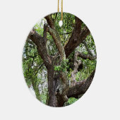 オークツリー7659 Jacksonville,フロリダ セラミックオーナメント (右)