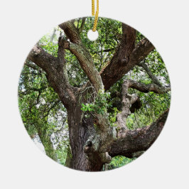 オークツリー7659 Jacksonville，フロリダ セラミックオーナメント