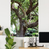 オークツリー7659 Jacksonville,フロリダ ポスター (ホームオフィス)