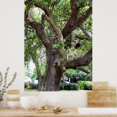 オークツリー7659 Jacksonville,フロリダ ポスター (キッチン)