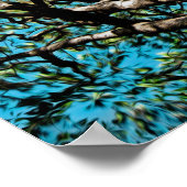 オークツリー ポスター (角)