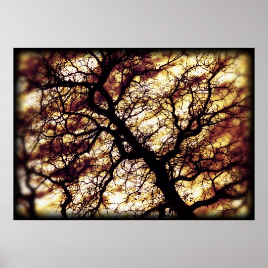 オークツリー ポスター (正面)