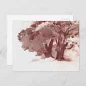 オークツリー ポストカード (正面/裏面)