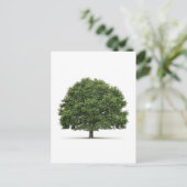 オークツリー ポストカード (スタンド正面)