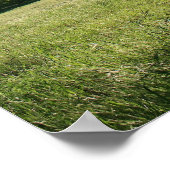 オークツリー、春フィールド、ポートレート ポスター (角)