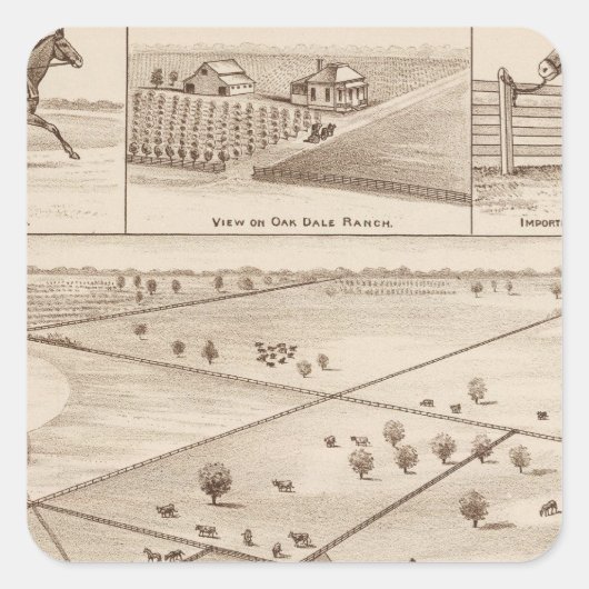 オークデールランチ スクエアシール (正面)