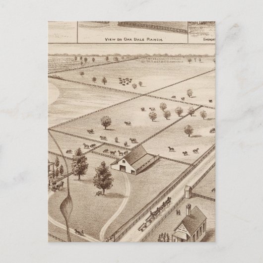 オークデールランチ ポストカード (正面)