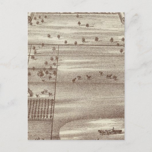 オークデールランチ ポストカード (正面)