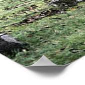 オークデール ポスター (角)