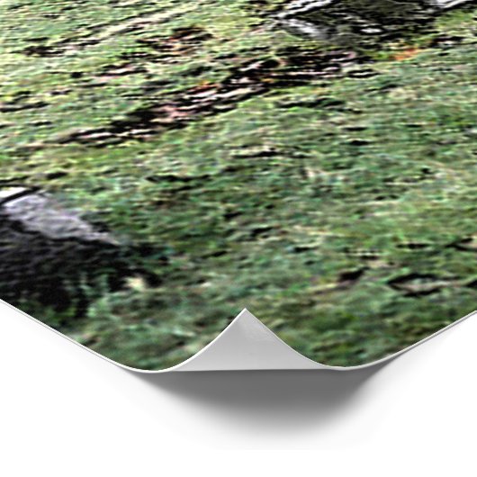 オークデール ポスター (角)