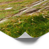 オークニーのポスター ポスター (角)