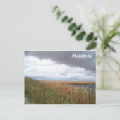 オークハンモック湿地 ポストカード (スタンド正面)