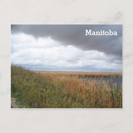 オークハンモック湿地 ポストカード (正面)